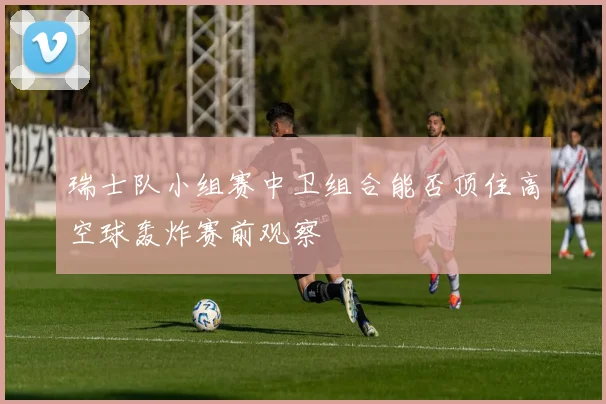 瑞士队小组赛中卫组合能否顶住高空球轰炸赛前观察
